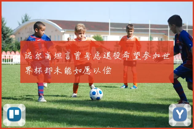 诺尔高坦言曾考虑退役希望参加世界杯却未能如愿以偿